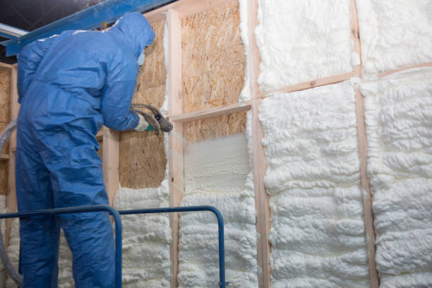 Best Eco-Friendly or Green Insulation Solutions  in Decatur, TX